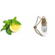 AMBIENTADOR AUTO LIMÃO & HORTELÃ