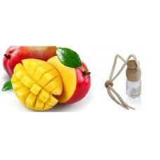 AMBIENTADOR AUTO MANGA