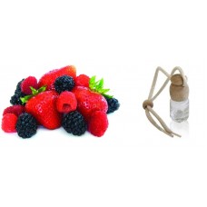 AMBIENTADOR AUTO FRUTOS VERMELHOS